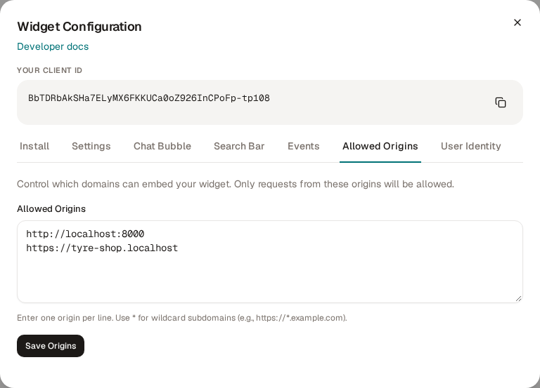 The Allowed Origins tab of the widget configuration